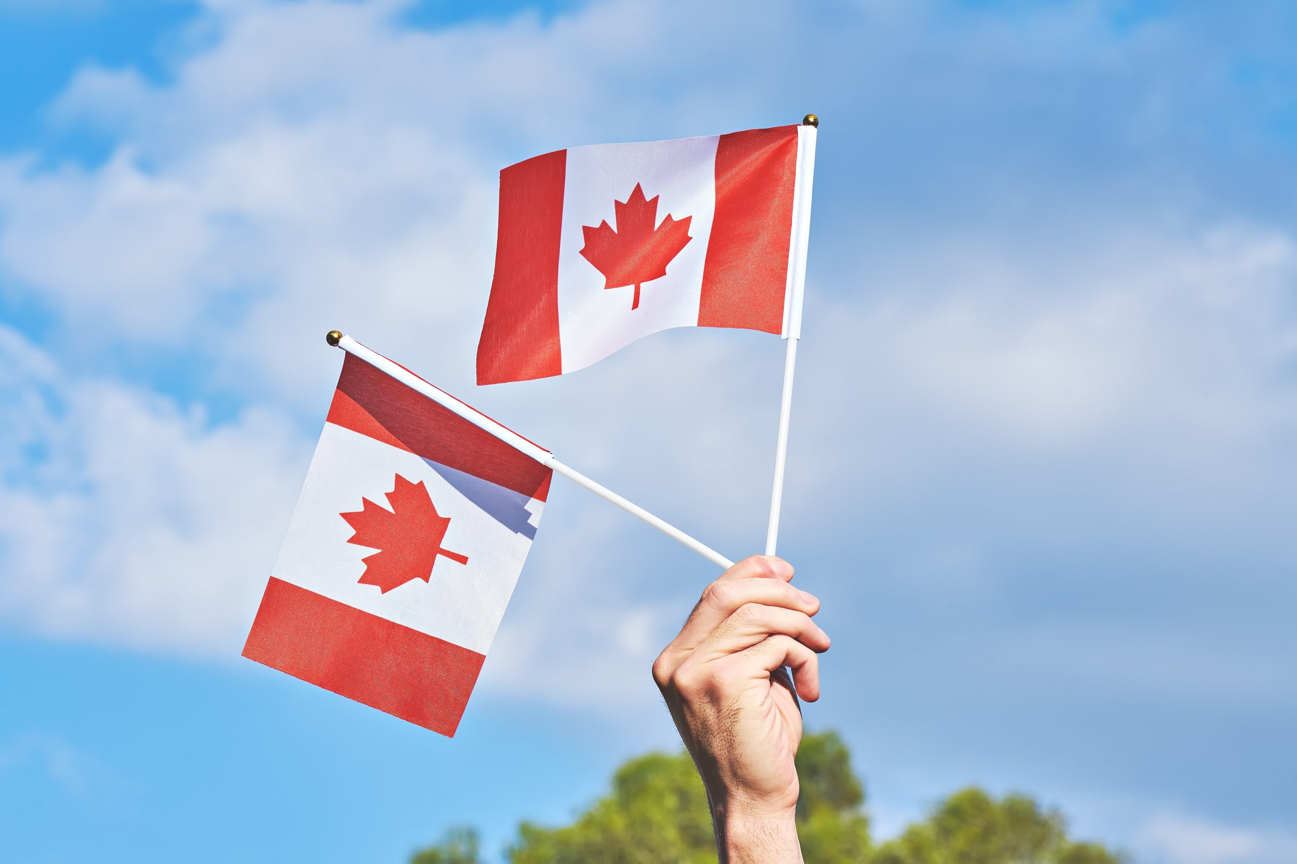 raised-hand-with-two-waving-canadian-flag-against-2025-01-08-02-32-36-utc Торговельна марка в Канаді. Процедура реєстрації
