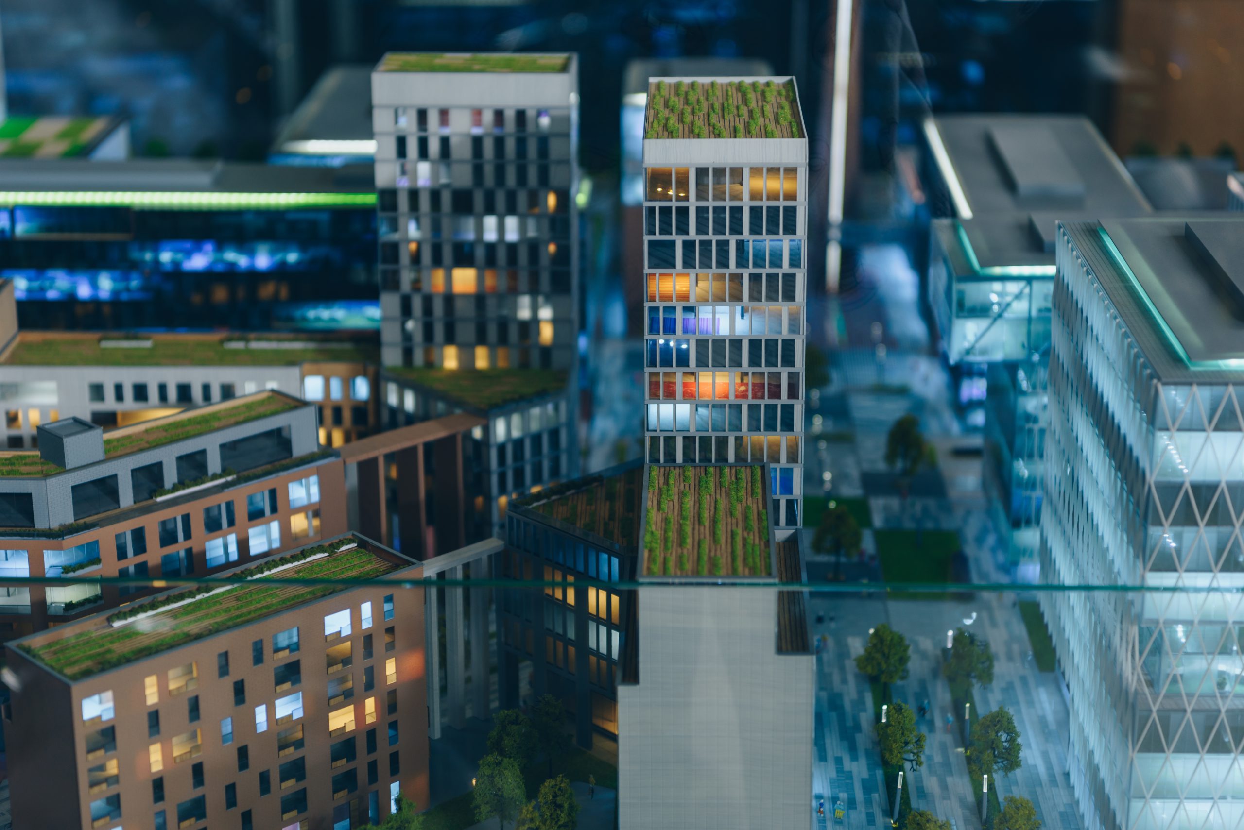 Diia.City: Registration Algorithm and Requirements for Companies